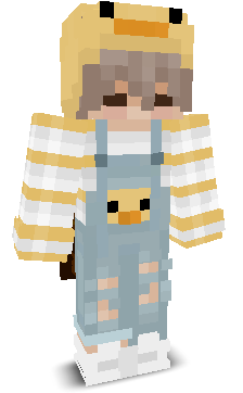 User's Minecraft appearance
