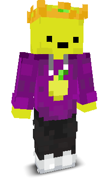 User's Minecraft appearance