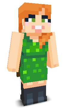 User's Minecraft appearance