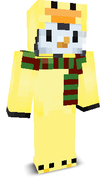 User's Minecraft appearance