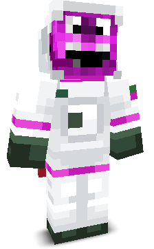 User's Minecraft appearance