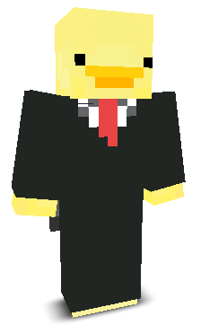 User's Minecraft appearance