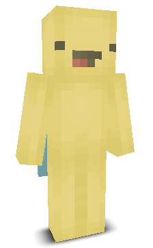 User's Minecraft appearance