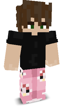 User's Minecraft appearance