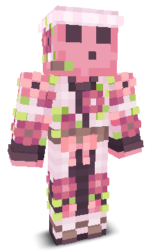 User's Minecraft appearance