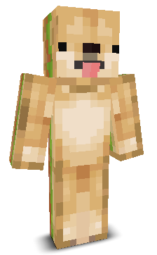 User's Minecraft appearance