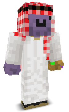 User's Minecraft appearance