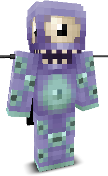 User's Minecraft appearance