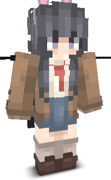 User's Minecraft appearance