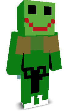 User's Minecraft appearance