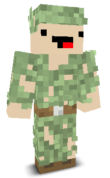 User's Minecraft appearance