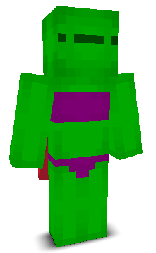 User's Minecraft appearance