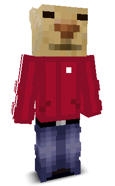 User's Minecraft appearance