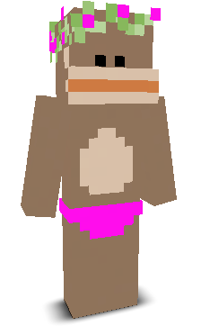 User's Minecraft appearance