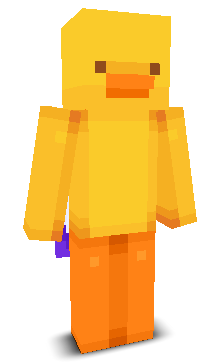 User's Minecraft appearance