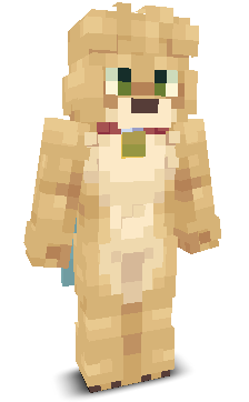 User's Minecraft appearance