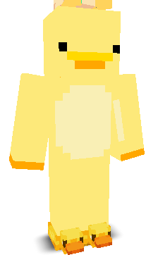 User's Minecraft appearance