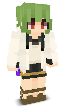 User's Minecraft appearance
