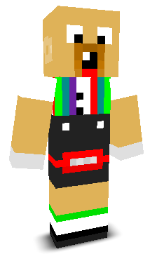 User's Minecraft appearance