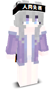 User's Minecraft appearance