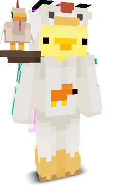 User's Minecraft appearance