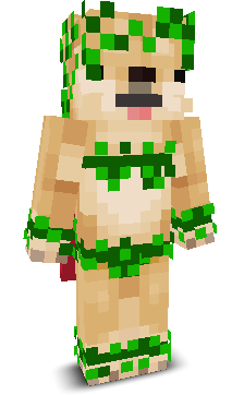 User's Minecraft appearance