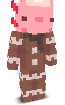 User's Minecraft appearance