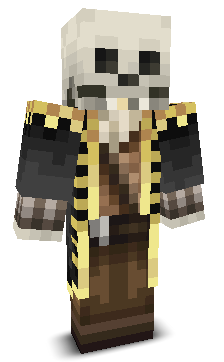 User's Minecraft appearance