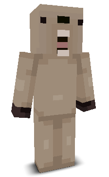 User's Minecraft appearance