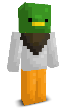 User's Minecraft appearance