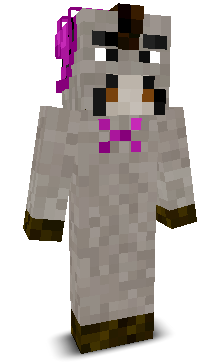 User's Minecraft appearance