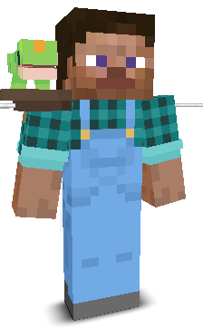 User's Minecraft appearance