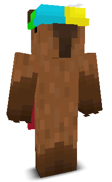 User's Minecraft appearance