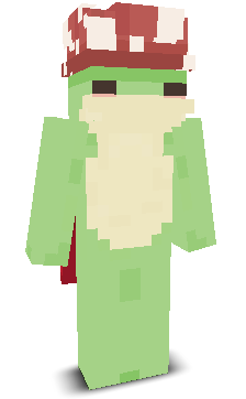 User's Minecraft appearance