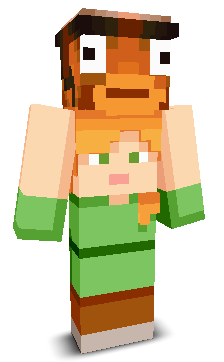 User's Minecraft appearance