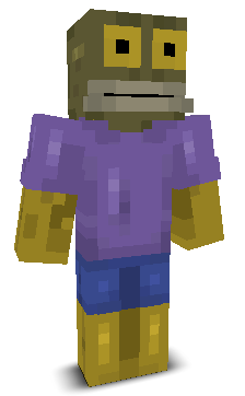 User's Minecraft appearance
