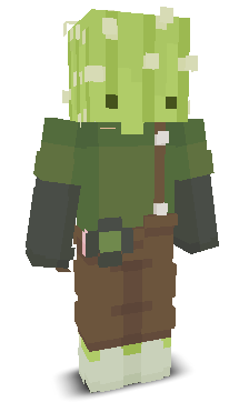 User's Minecraft appearance