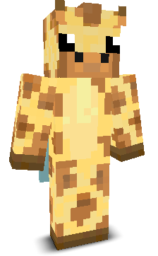 User's Minecraft appearance