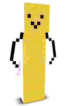User's Minecraft appearance