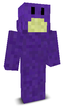 User's Minecraft appearance