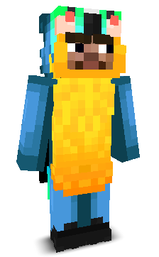 User's Minecraft appearance