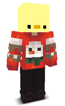 User's Minecraft appearance