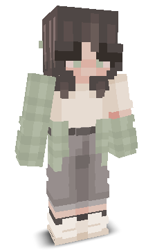 User's Minecraft appearance