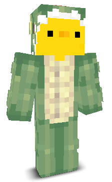 User's Minecraft appearance
