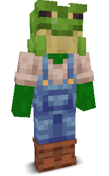 User's Minecraft appearance