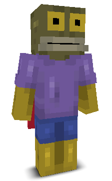 User's Minecraft appearance