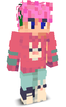 User's Minecraft appearance