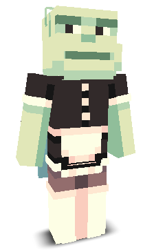 User's Minecraft appearance