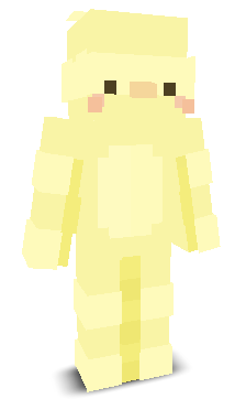 User's Minecraft appearance