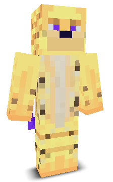 User's Minecraft appearance